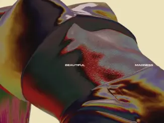 Agnes – BEAUTIFUL MADNESS (Album)