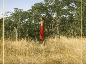 Dana Sipos – Golden Molten (Album)