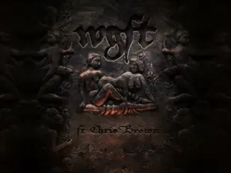 Gunna – WGFT (Remix) Ft. Chris Brown