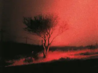 Joji – Piss In The Wind (Album)