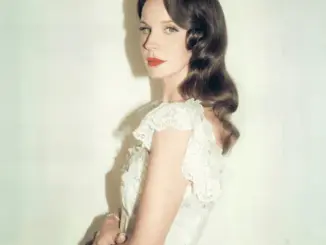 Lana Del Rey – Stove (Album)