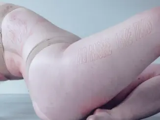 PVA – No More Like This (Album)