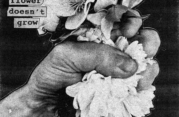 Softcult – When A Flower Doesn’t Grow (Album)