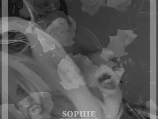 Sophie Woodhouse - SW6 (Album)