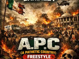 DanDizzy - A.P.C (A PATHETIC COUNTRY) (Freestyle)