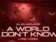 Alan Walker – A World I Don’t Know