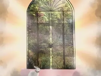 Baby Bugs - Bible Belt (EP) (Album)