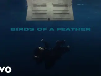 Billie Eilish – BIRDS OF A FEATHER