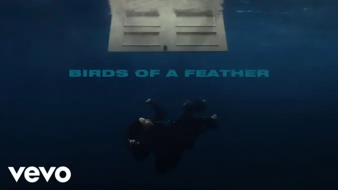 Billie Eilish – BIRDS OF A FEATHER