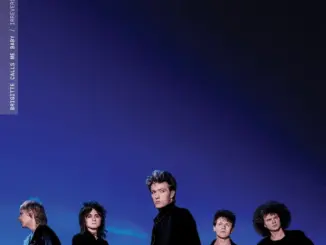 Brigitte Calls Me Baby – Irreversible (Album)