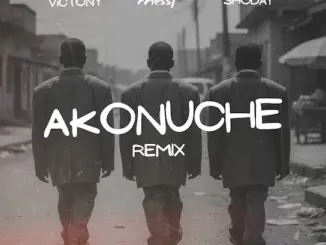 Victony - Akonuche (Remix)