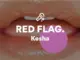 Kesha – RED FLAG.