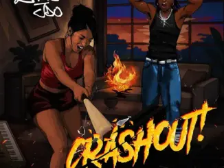 Zhus Jdo - CRASHOUT