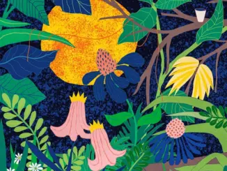 Max Prosa – Der Garten (Album)