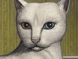 Mitski – Nothing’s About to Happen to Me (Album)