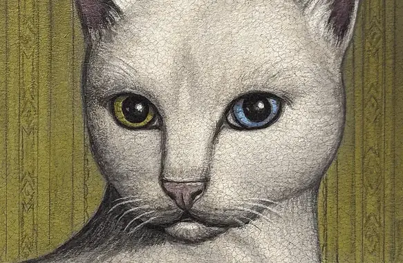 Mitski – Nothing’s About to Happen to Me (Album)