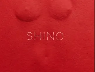 Skiibii – SHINO Ft. Oxlade