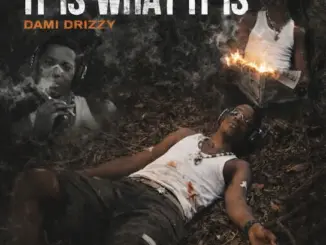 Dami Drizzy - Most High (Koko Jabele)