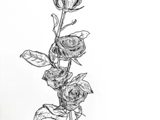 ♡Xpfm – .Bloom//Fade (Album)