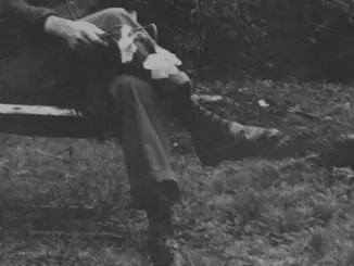 NEEDTOBREATHE – The Long Surrender (Album)