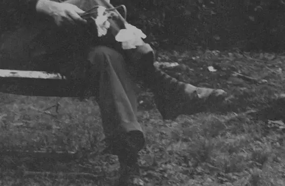 NEEDTOBREATHE – The Long Surrender (Album)