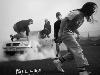 The Scratch – Pull Like a Dog (Album)