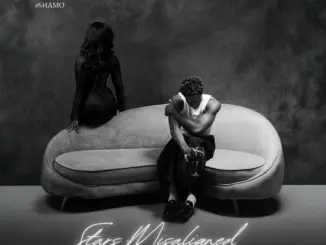 Abefe – Oshamo (Stars Misaligned Cover)