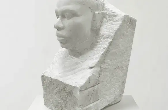 Asake – M$NEY (Album)