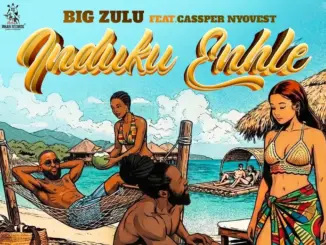 Big Zulu Ft. Cassper Nyovest – Induku Enhle