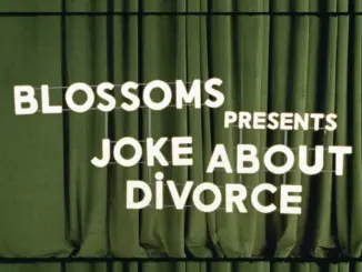 Blossoms Joke About Divorce