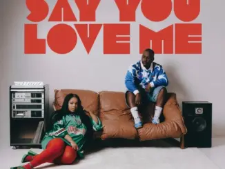 Brandon Dhludhlu – Say You Love Me