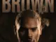 Chris Brown – BROWN (Album)