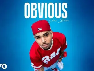 Chris Brown – Obvious