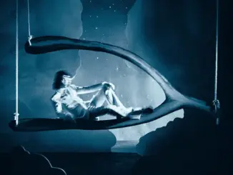 Conan Gray – Wishbone (Deluxe) (Album)