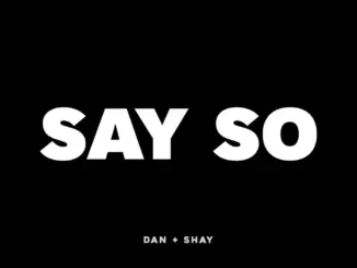Dan + Shay Say So