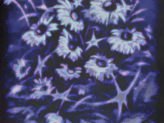 Deadharrie – Eternity, Make Believe (Album)