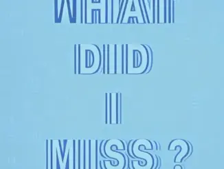 Drake – What Did I Miss