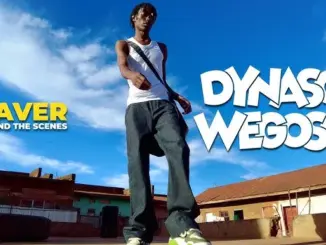 Dynaso Wegoso – Paver