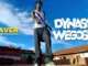 Dynaso Wegoso – Paver