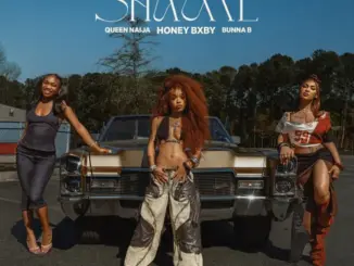Honey Bxby & Queen Naija – Shame Ft. BunnaB