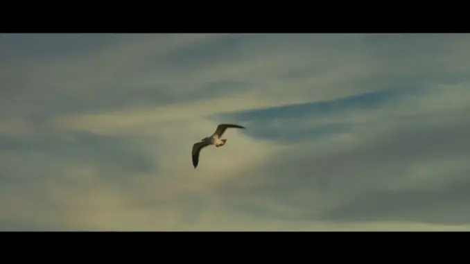 Kels – Chi 2 London