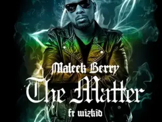 Maleek Berry Ft. Wizkid – The Matter