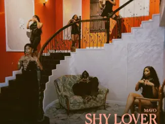 Mavo – I Think That I Just Lost My Confidence