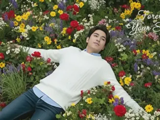 NANG NP – Forever in Your Smile