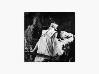 Not for Radio – Bloom (Ep)