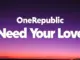 OneRepublic Need Your Love