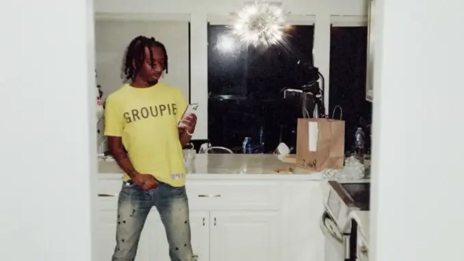 Protect — Undercover Groupie