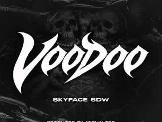 Skyface SDW – Voodoo