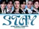 Stray Kids STAY