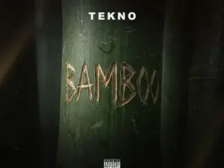 Tekno – Bamboo